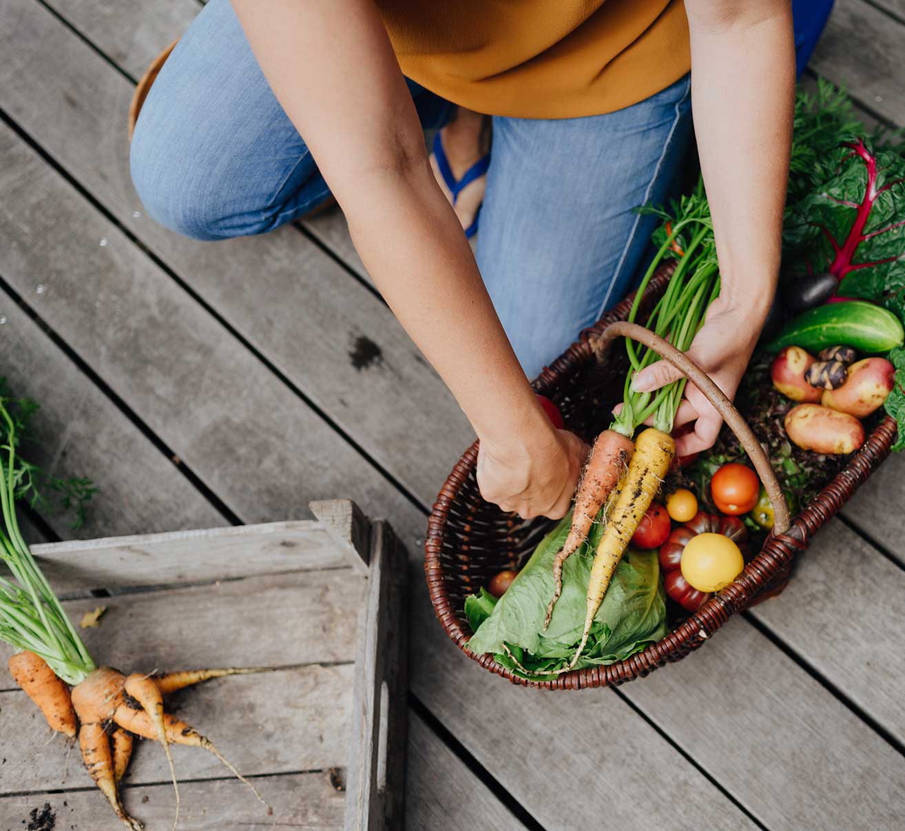 Kinder erstes Gärtner-Wissen Judith Rakers