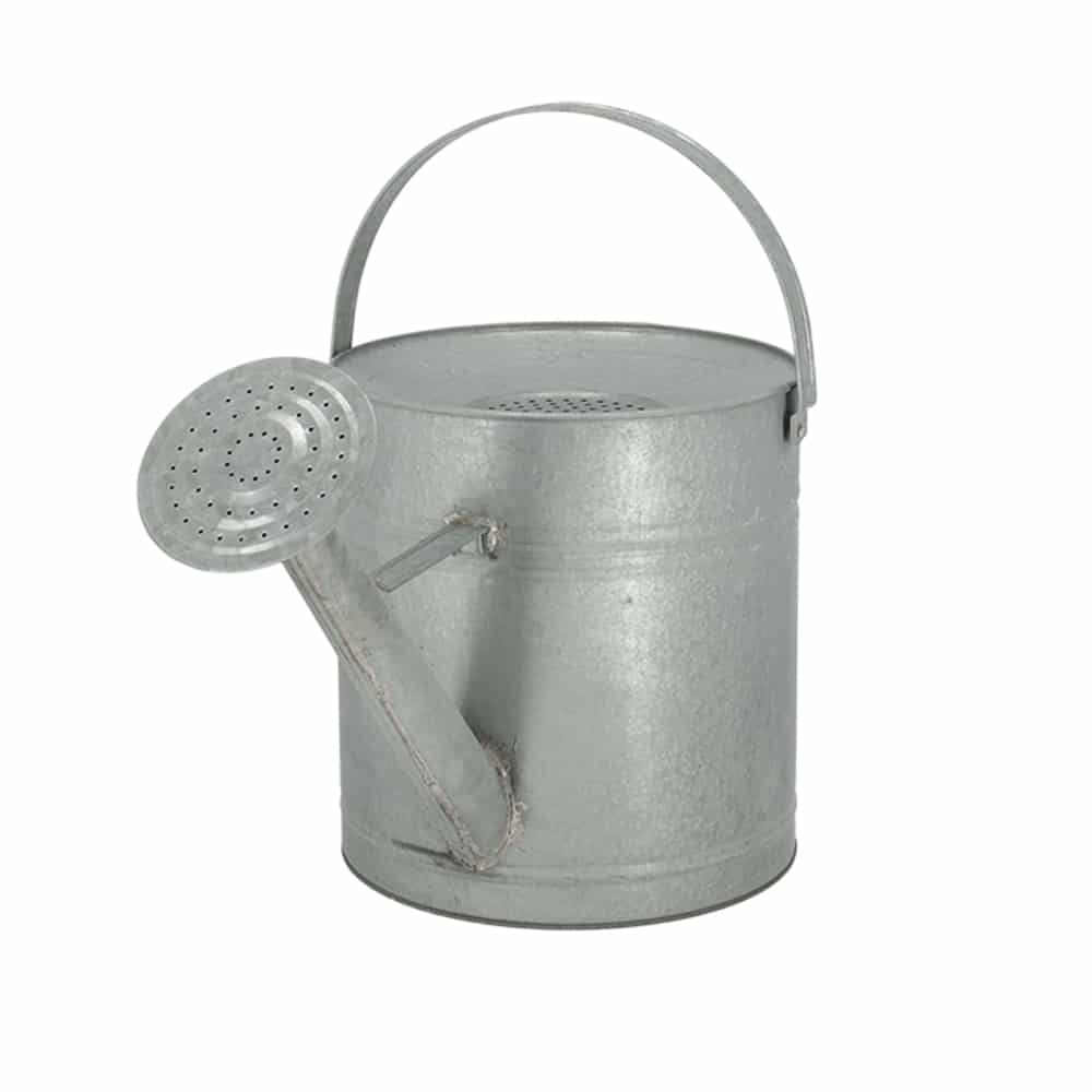 Altzink Gießkanne - Schräg von Vorne