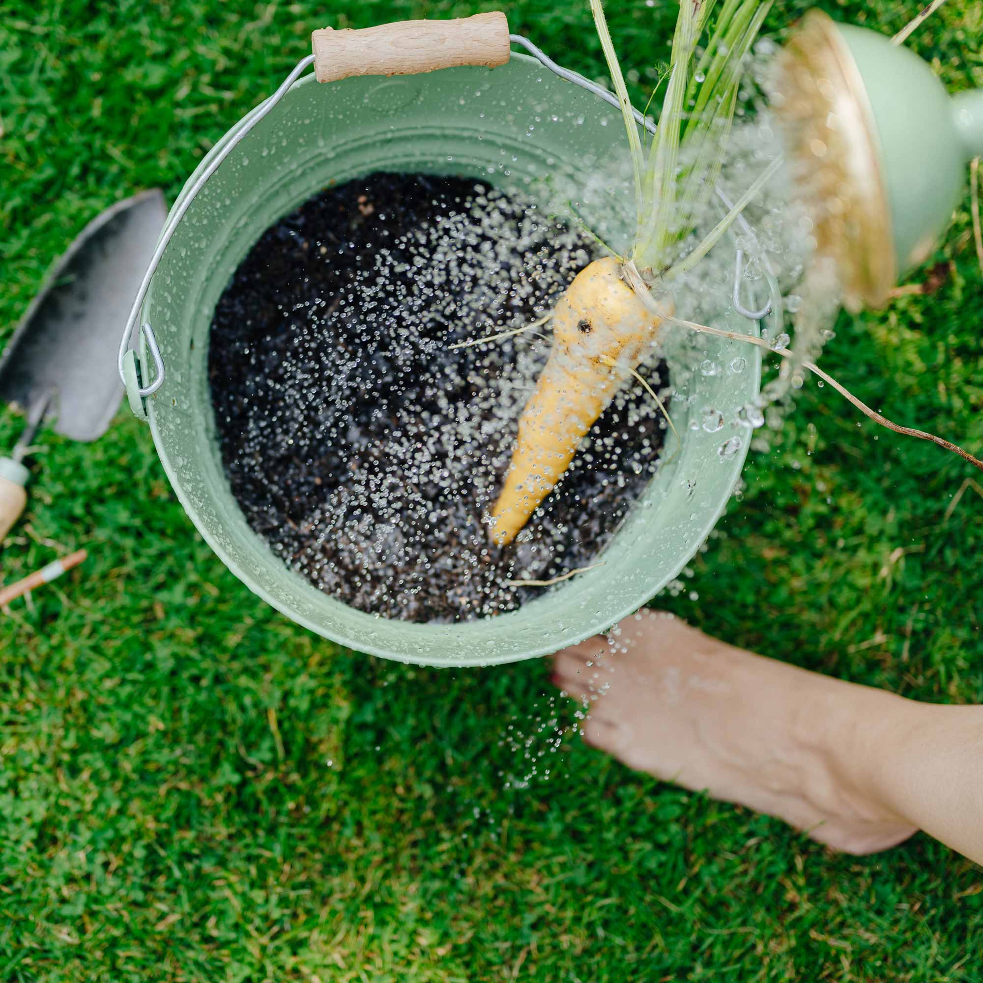 Eimer grün Homefarming
