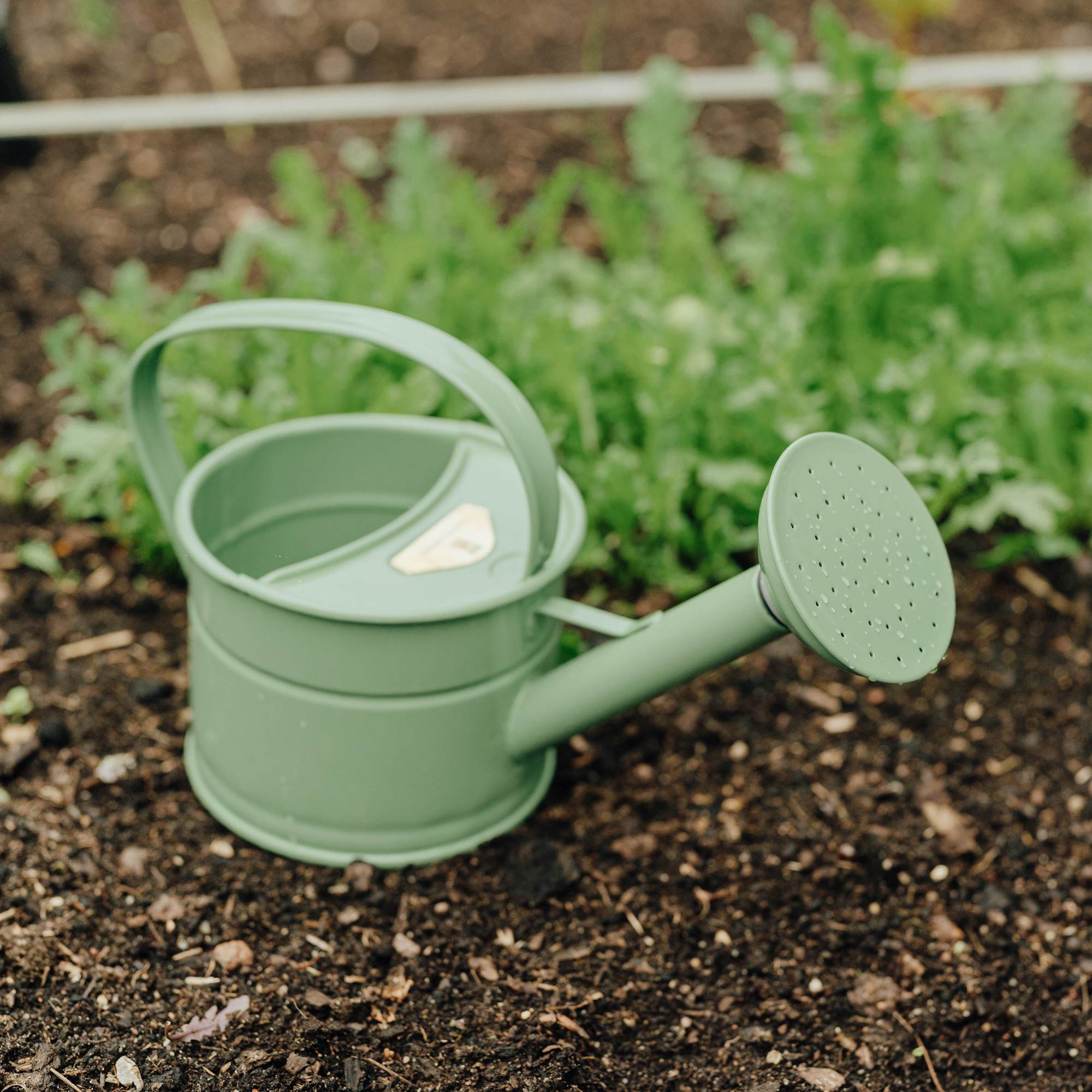 Homefarming Gießkanne 0,8l grün