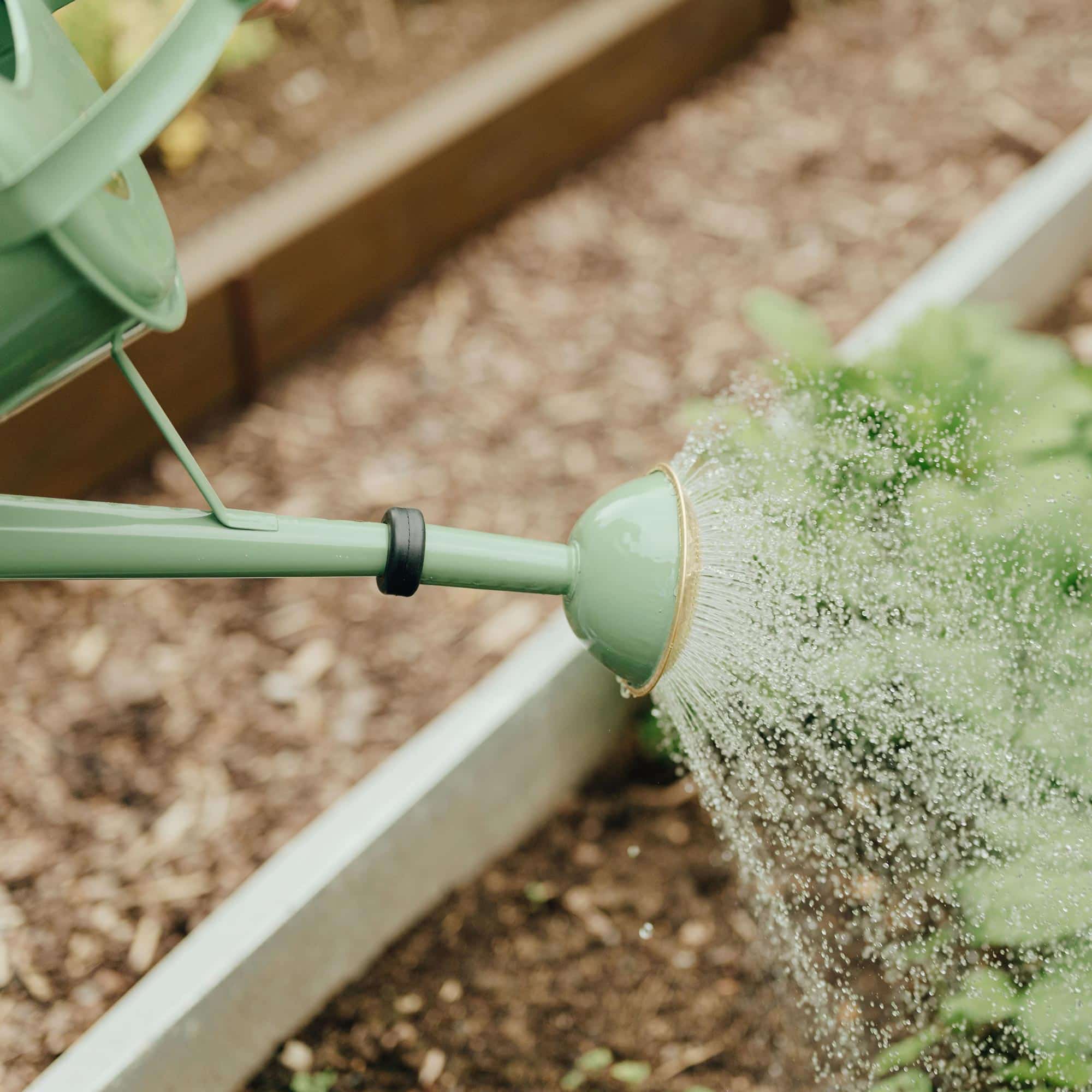 Gießkanne Homefarming 9 Liter grün