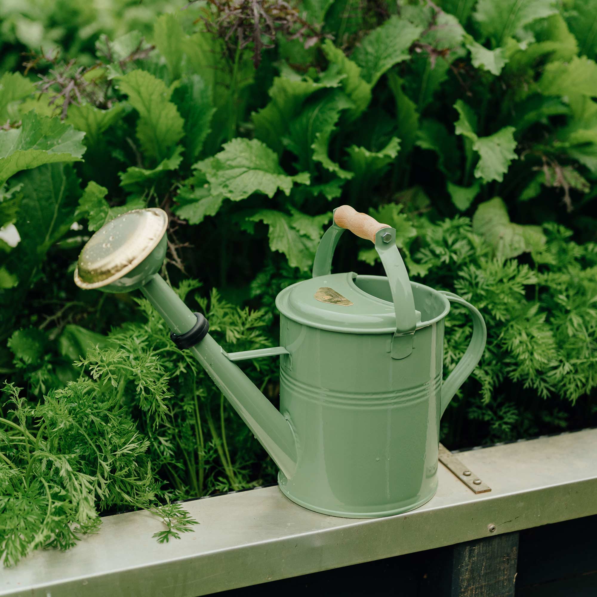 Gießkanne 5L Homefarming grün