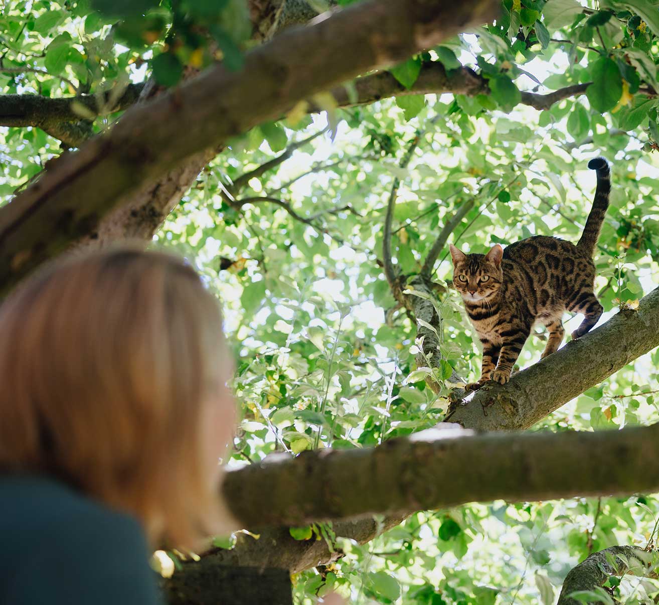 Hautiere, Judith Rakers