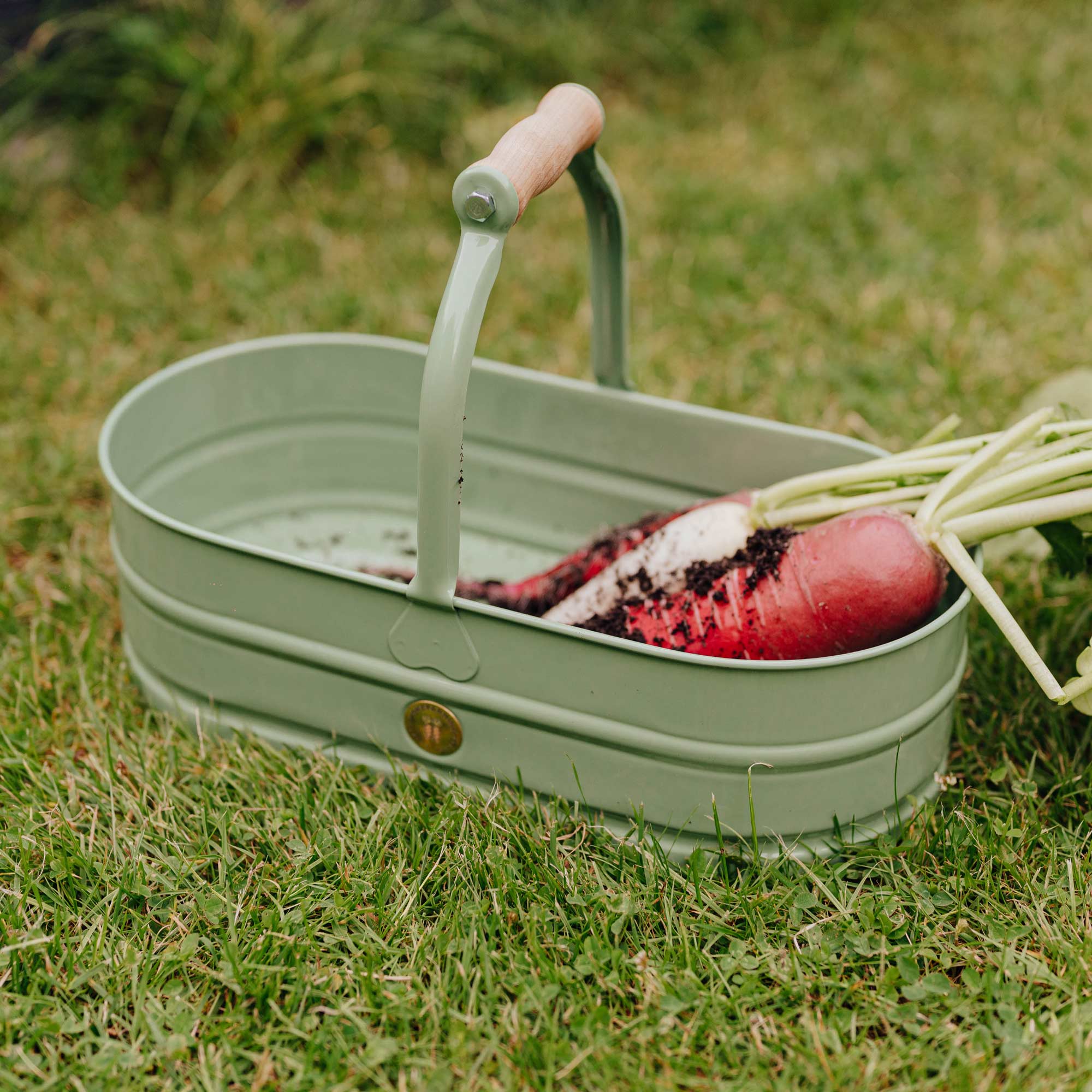 Pflanzschale Homefarming grün