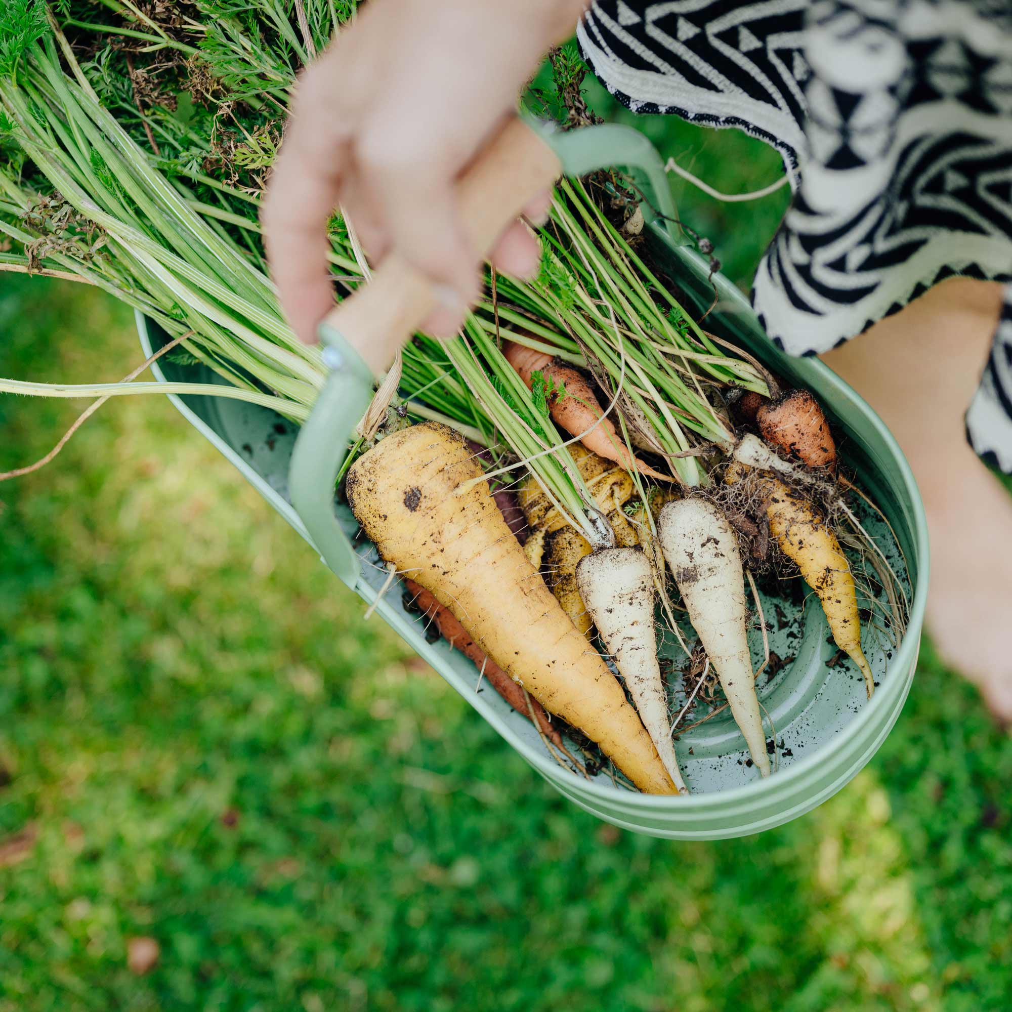 Pflanzschale Homefarming grün