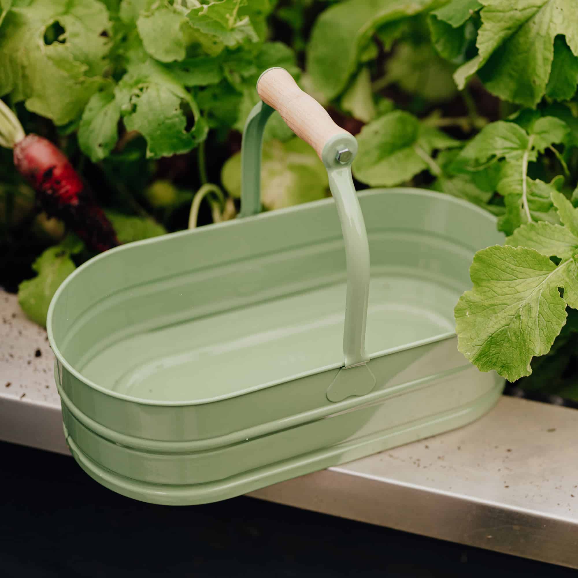 Pflanzschale Homefarming grün