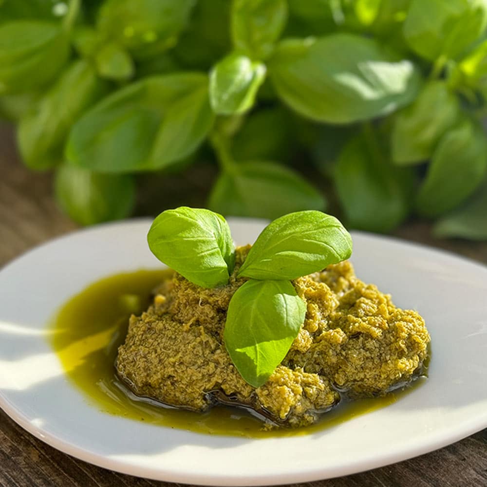 Basilikum-Pesto fertig angerichtet