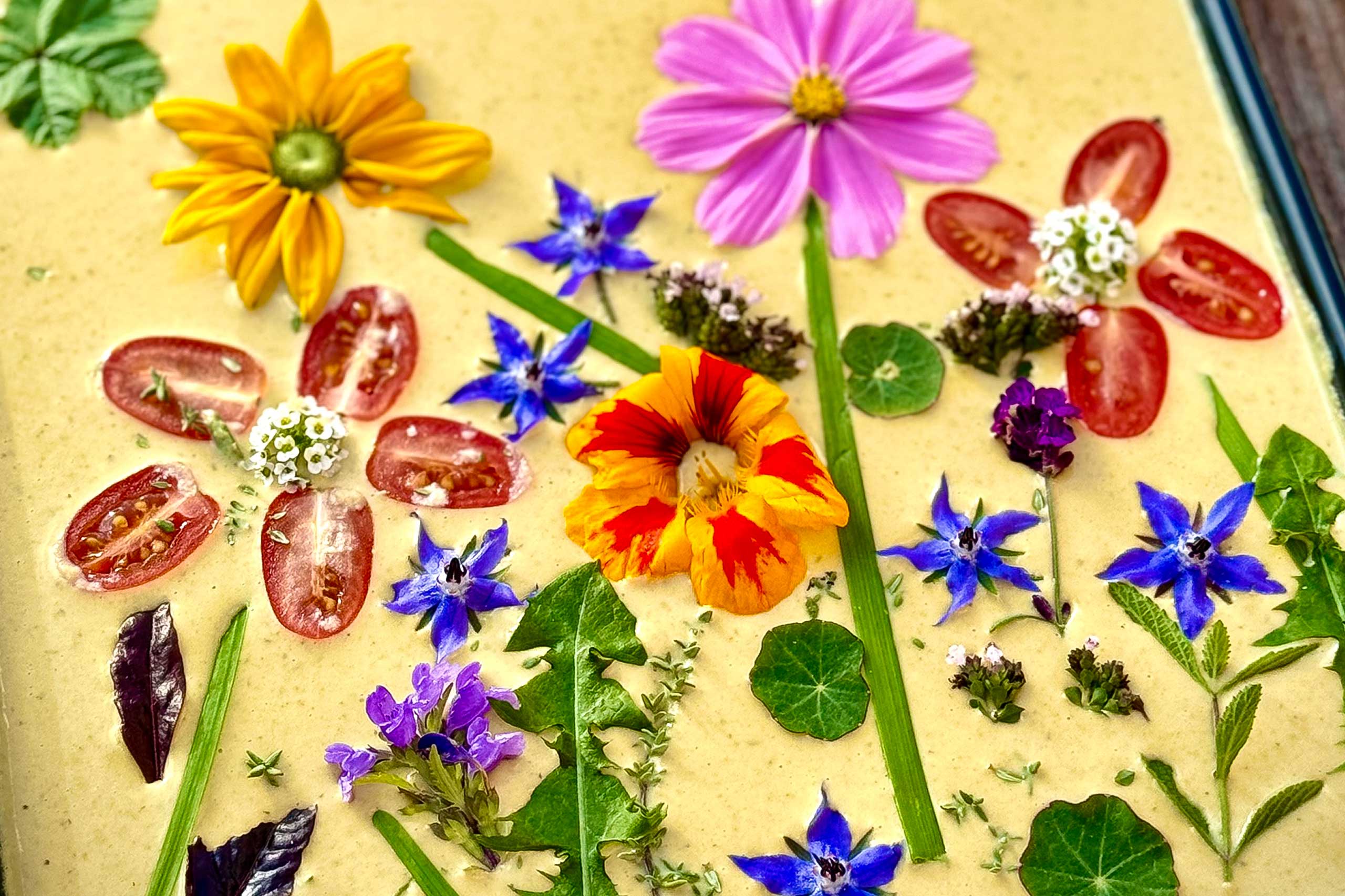 leckeres Basilikum-Rezept