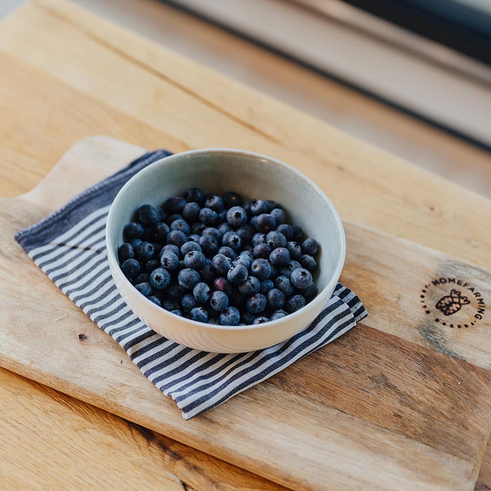 Heidelbeere/Blaubeere