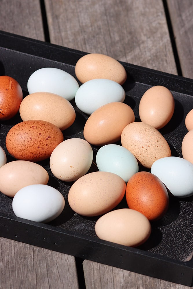 Bunte Eier auf einem Haufen