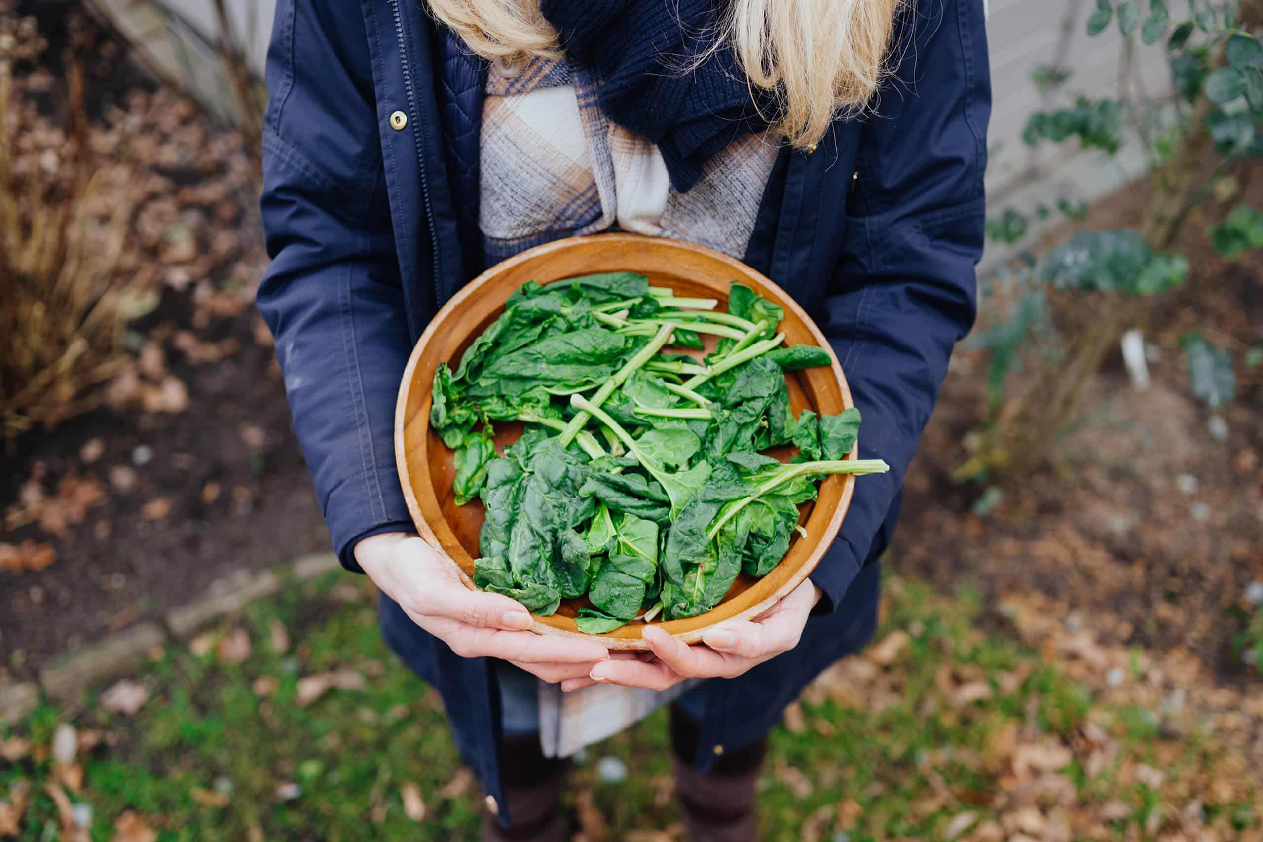 Kindersteckbrief Spinat Titelbild, Judith mit einer Schüssel Spinat im Arm.