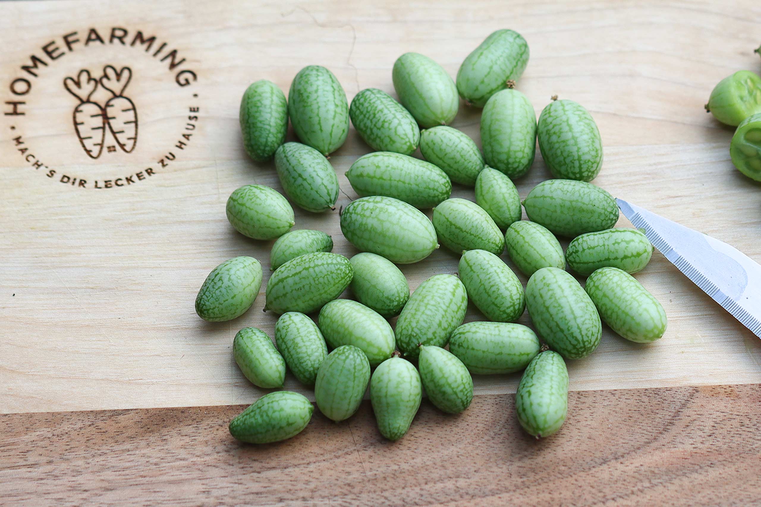 Mexikanische Minigurke Titelbild