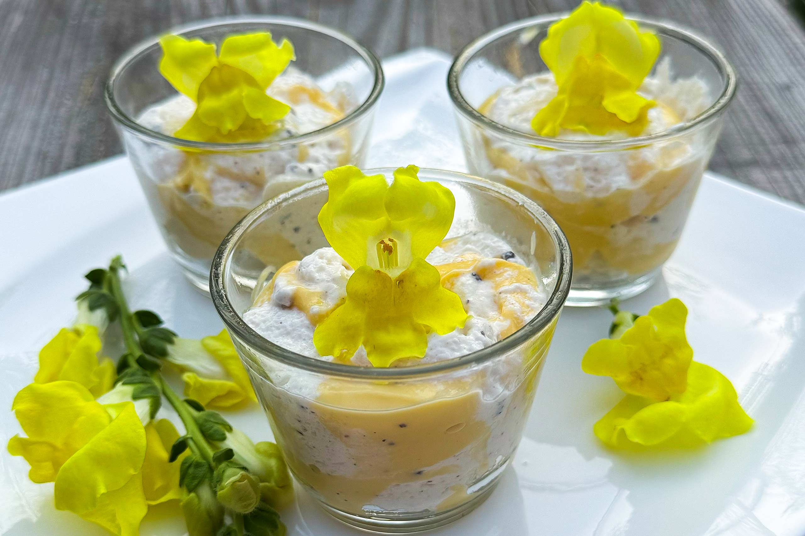 Löwenmäulchen-Titelbild