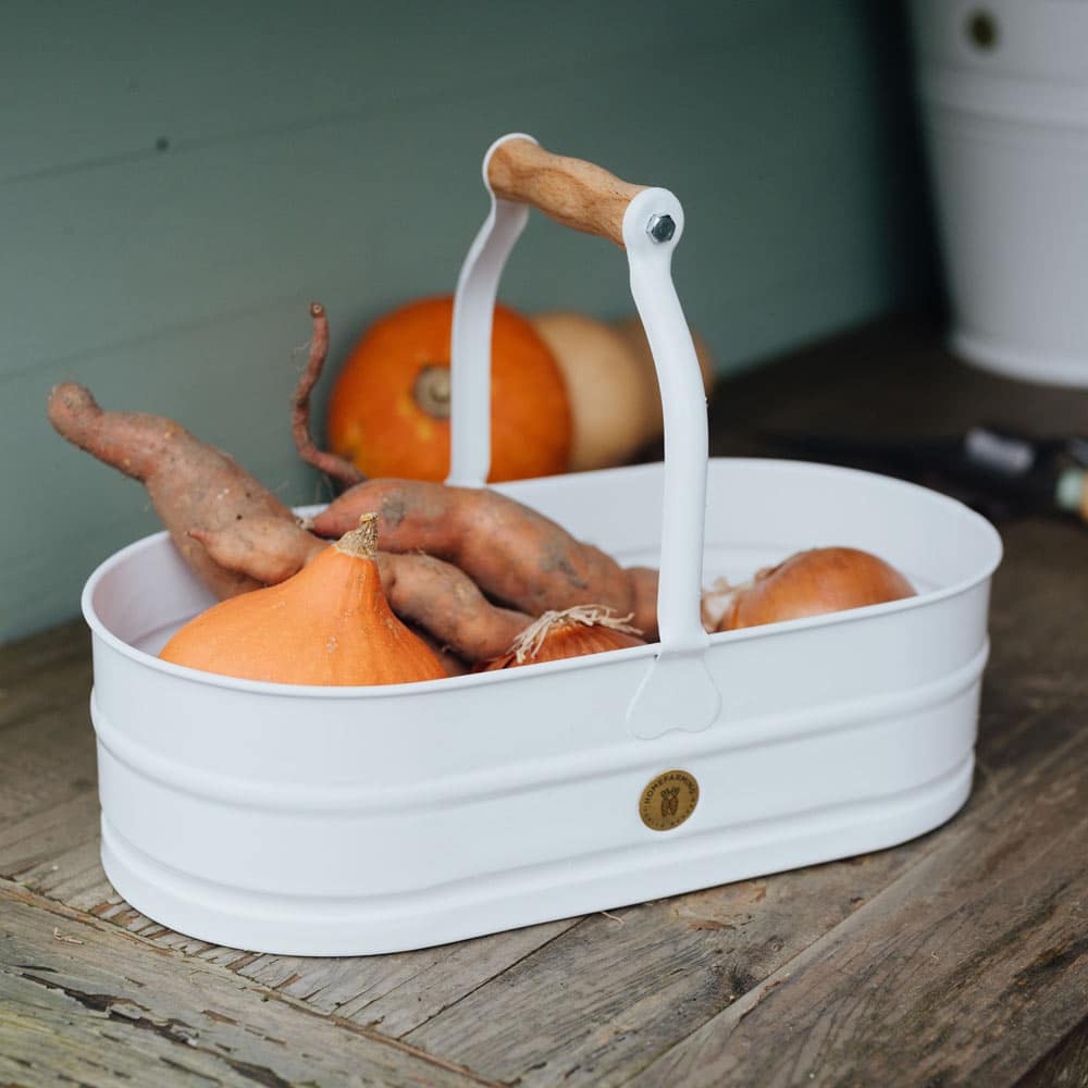 Pflanzschale weiß, Produktbild