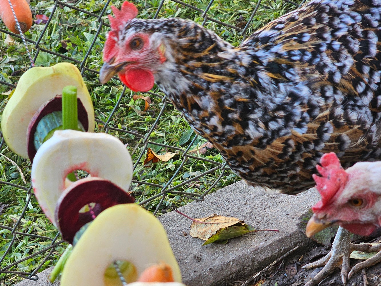 Beitragsbild Snack Girlande