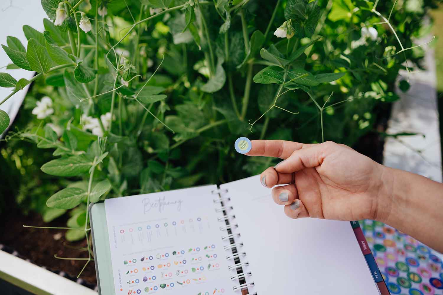 Beetplanung mit Judith Rakers