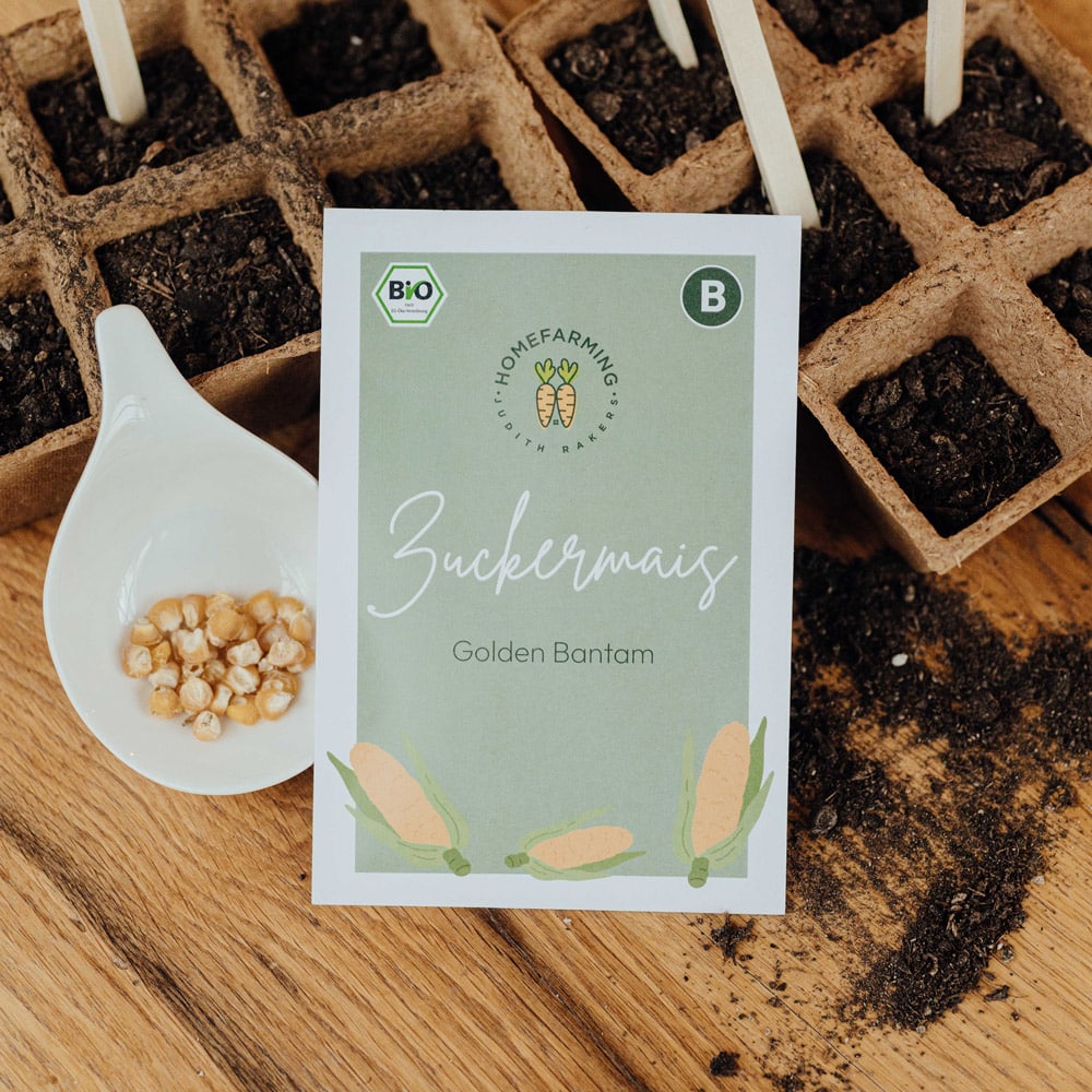 Zuckermais Golden Bantam