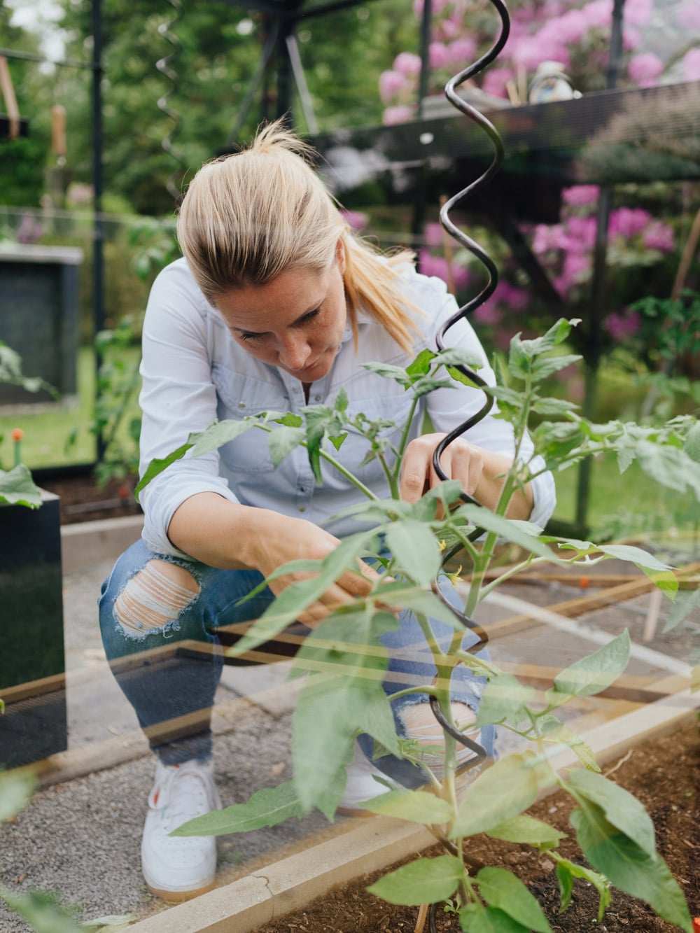 Anbau im Gewächshaus
