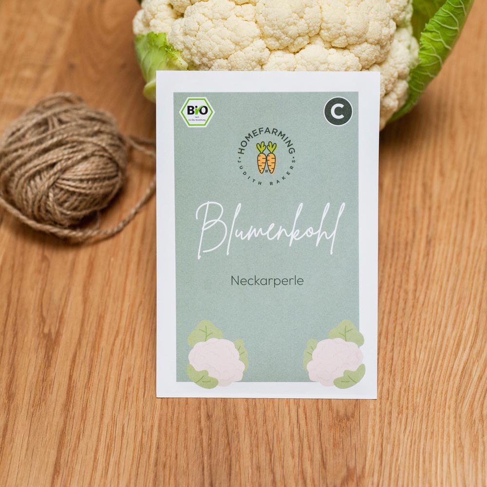 Blumenkohl Neckarperle