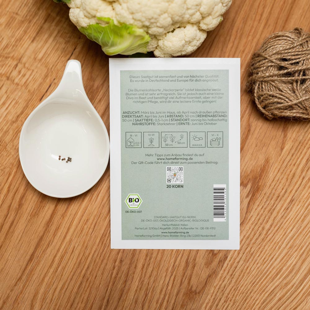 Blumenkohl Neckarperle