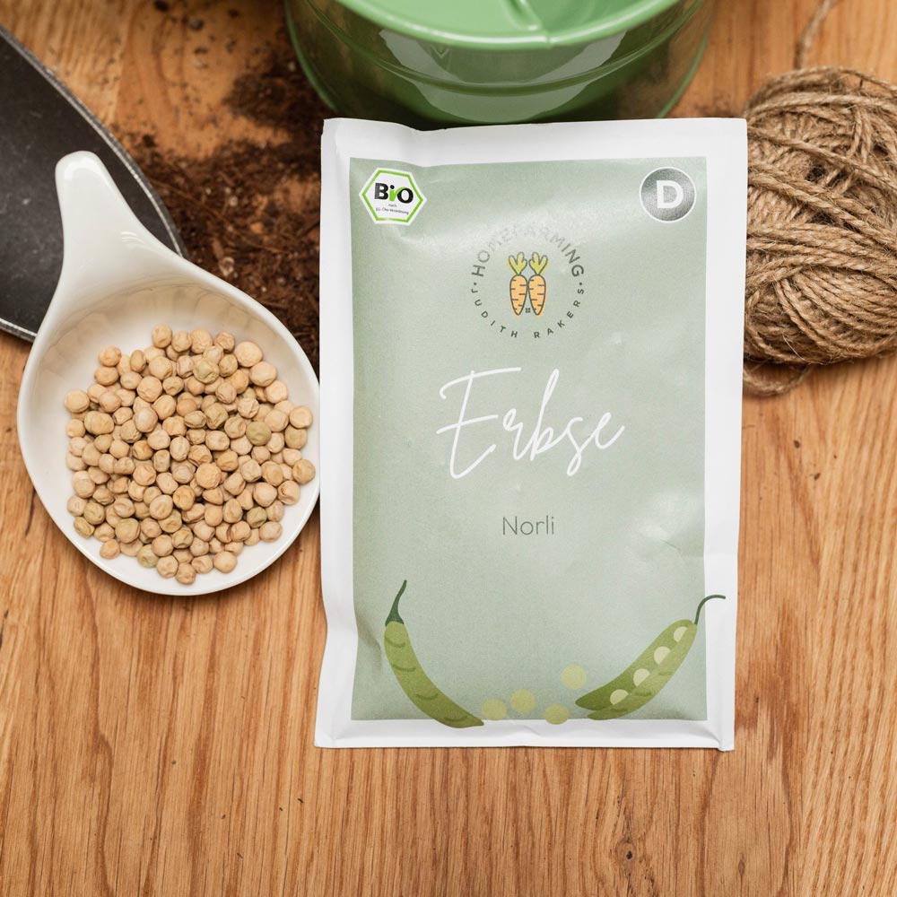 Erbse Norli