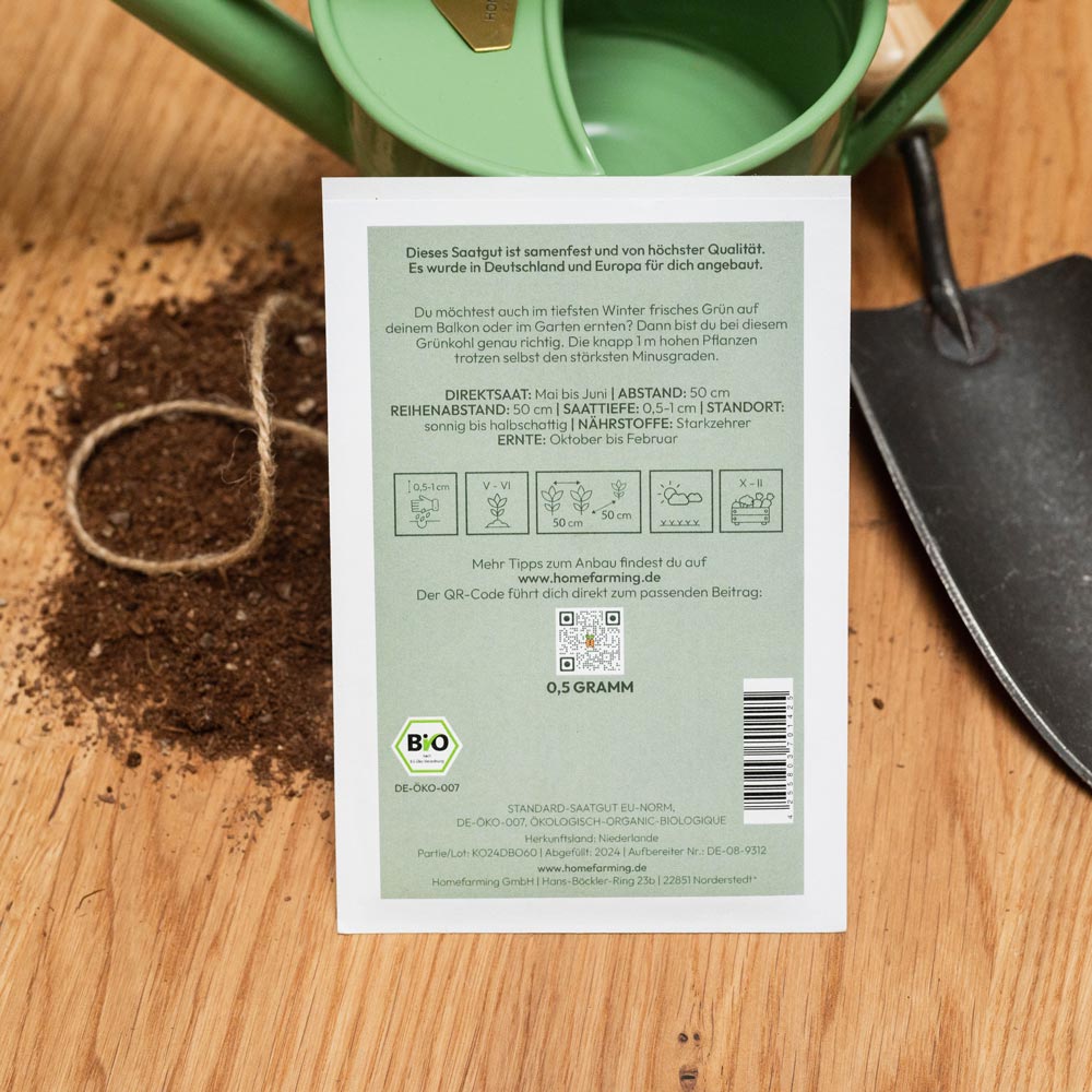 Grünkohl Halbhoher Grüner Krauser