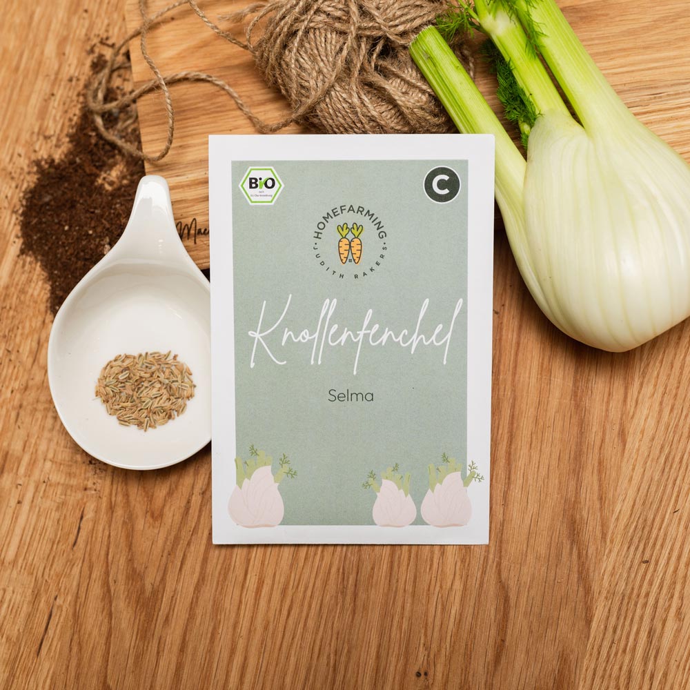 Knollenfenchel