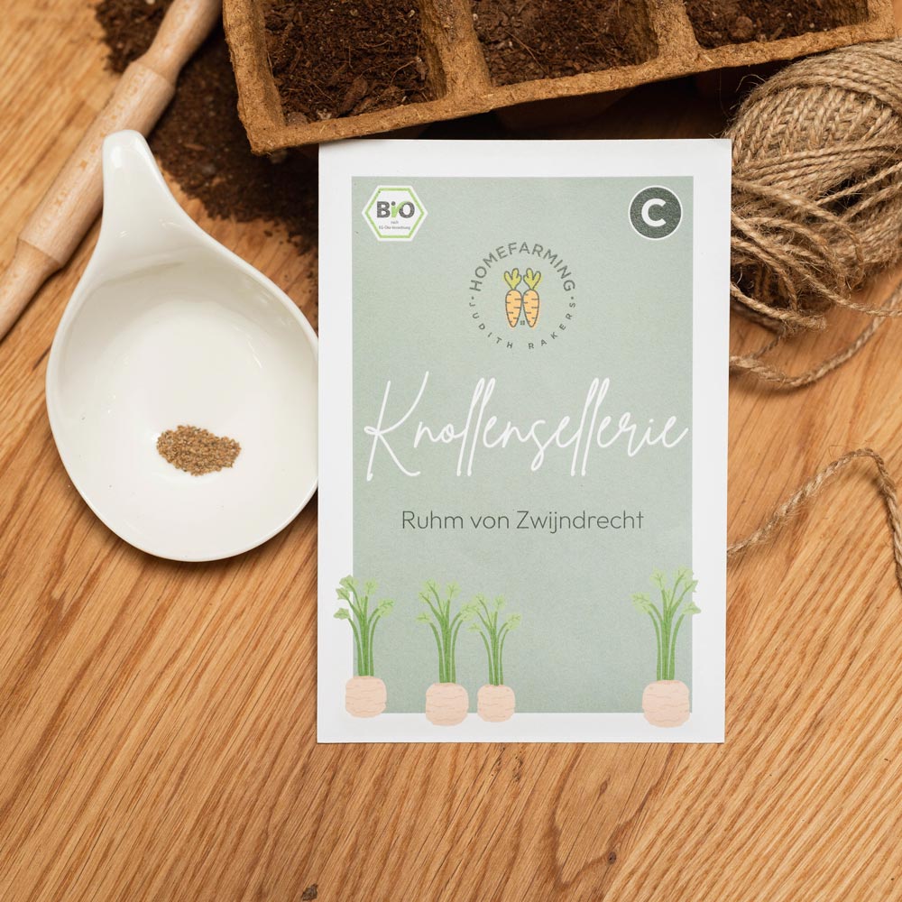 Knollensellerie Ruhm von Zwijendrecht