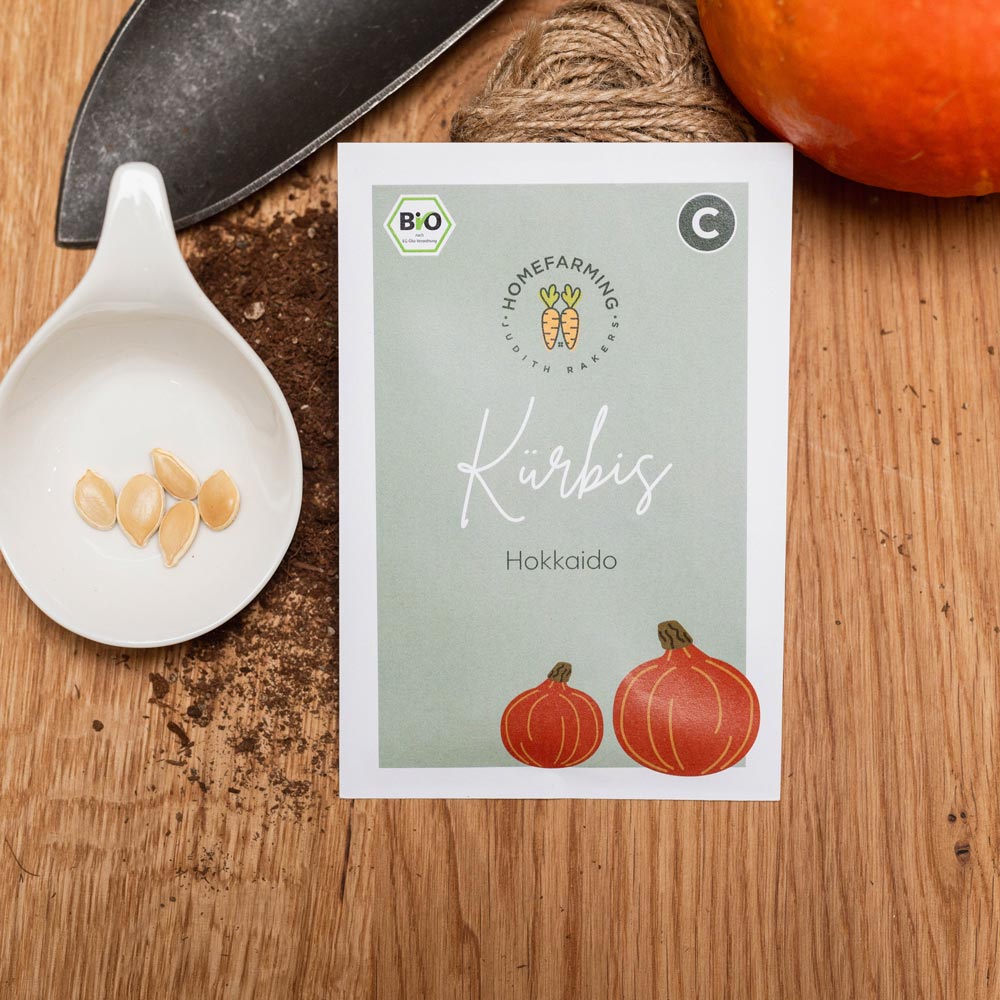 Kürbis Hokkaido