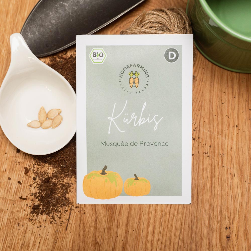 Kürbis musquée de Provence