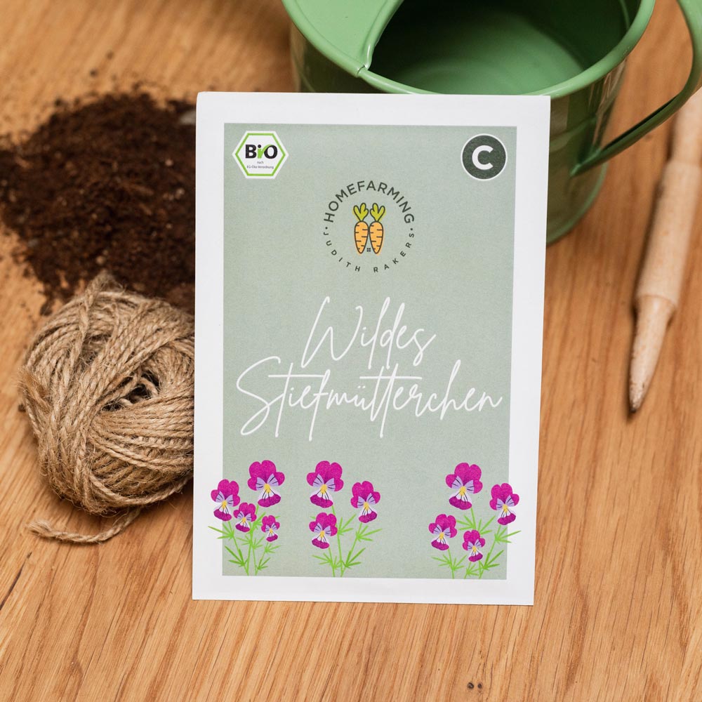 Wildes Stiefmütterchen