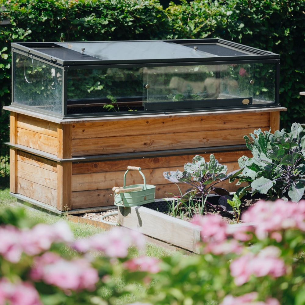 Frühbeetaufsatz Günter