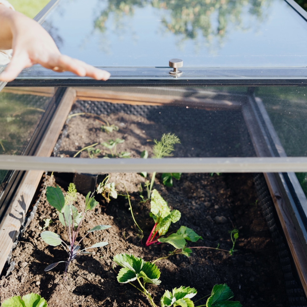 Frühbeetaufsatz Günter