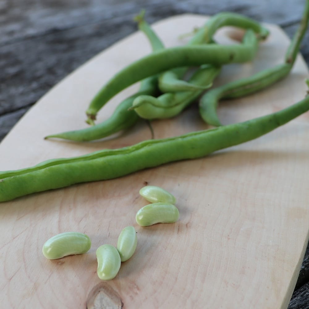 Homefarming Buschbohne Maxi