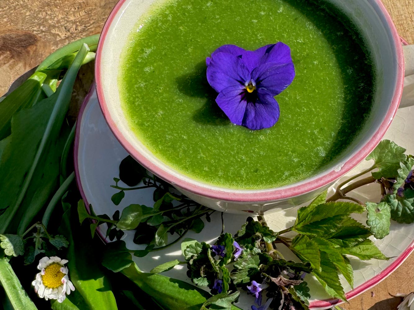 Frühjahrskur Aufmacher