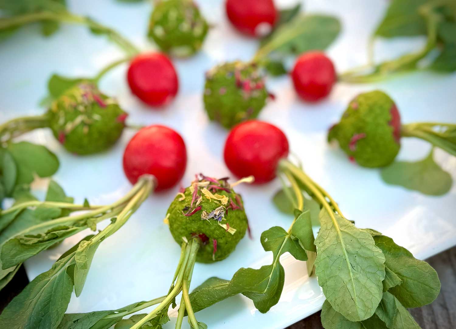 Bärlauch Radieschen