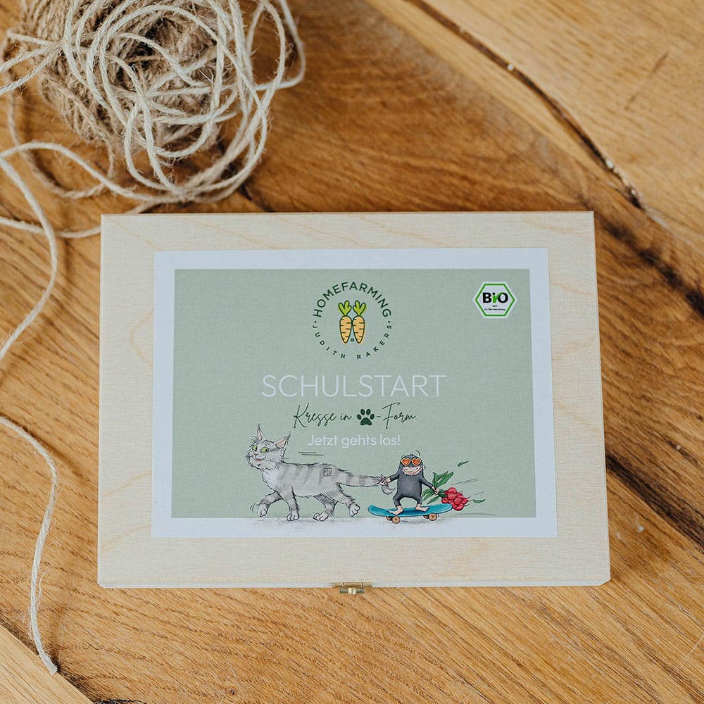 Kressepfote Schulstart
