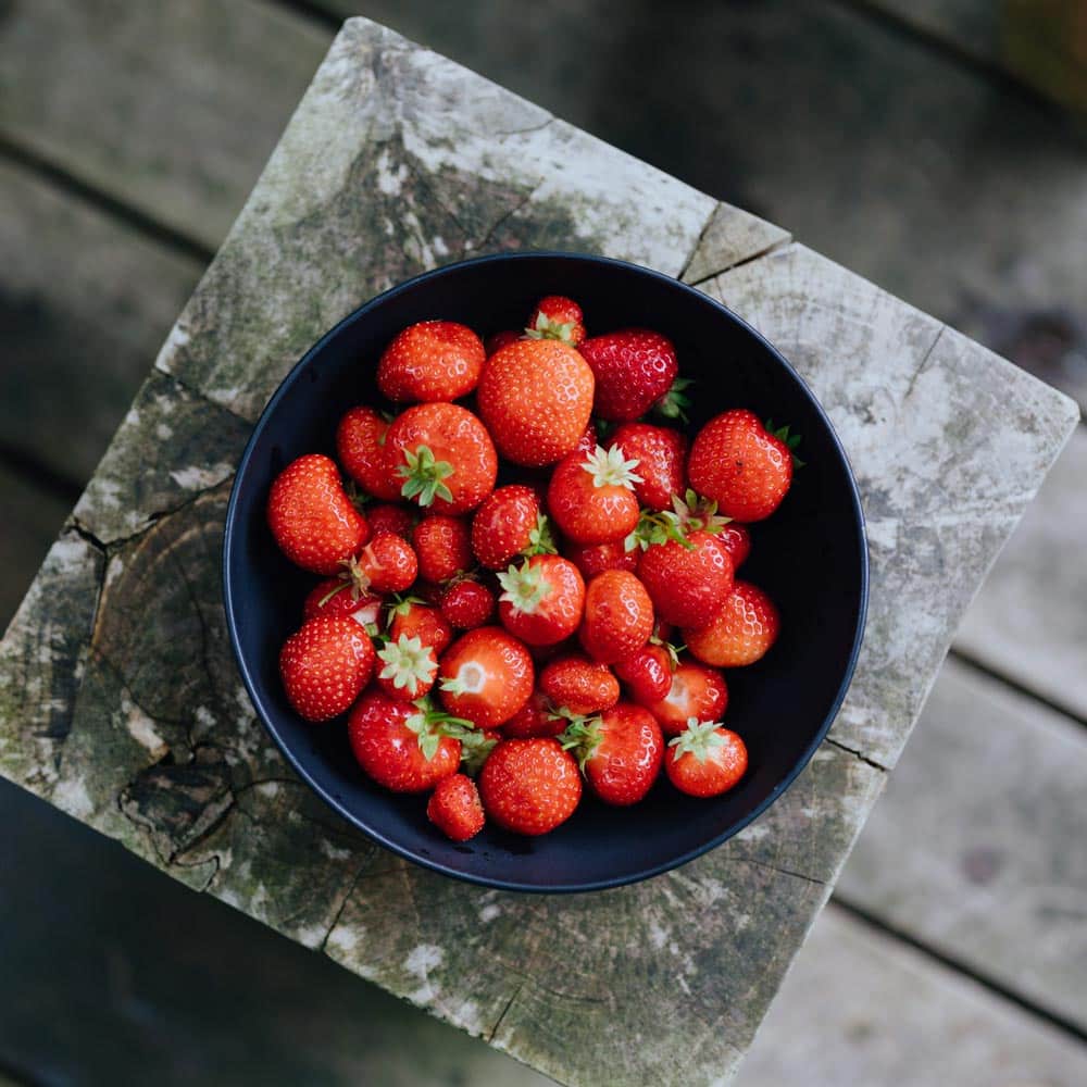 Erdbeeren in einer Schale
