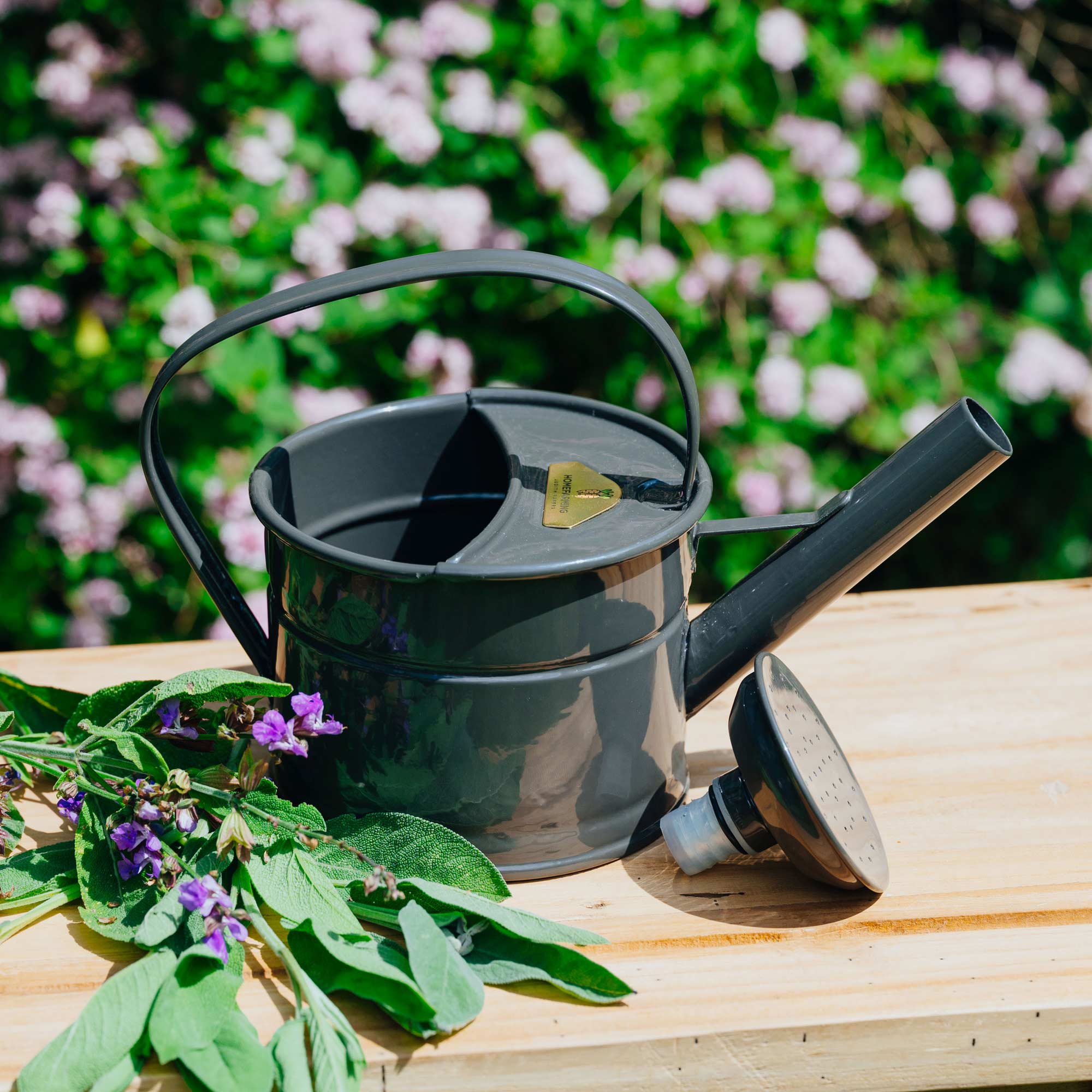 Gießkanne 0,8l Grau