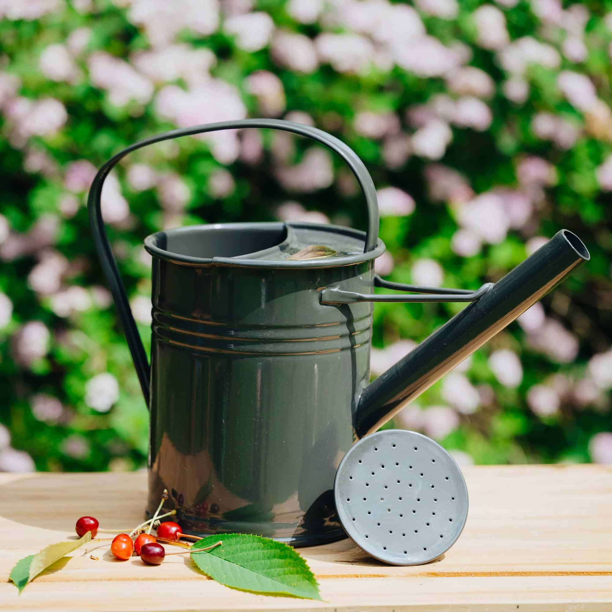 Gießkanne 1,5l Grau