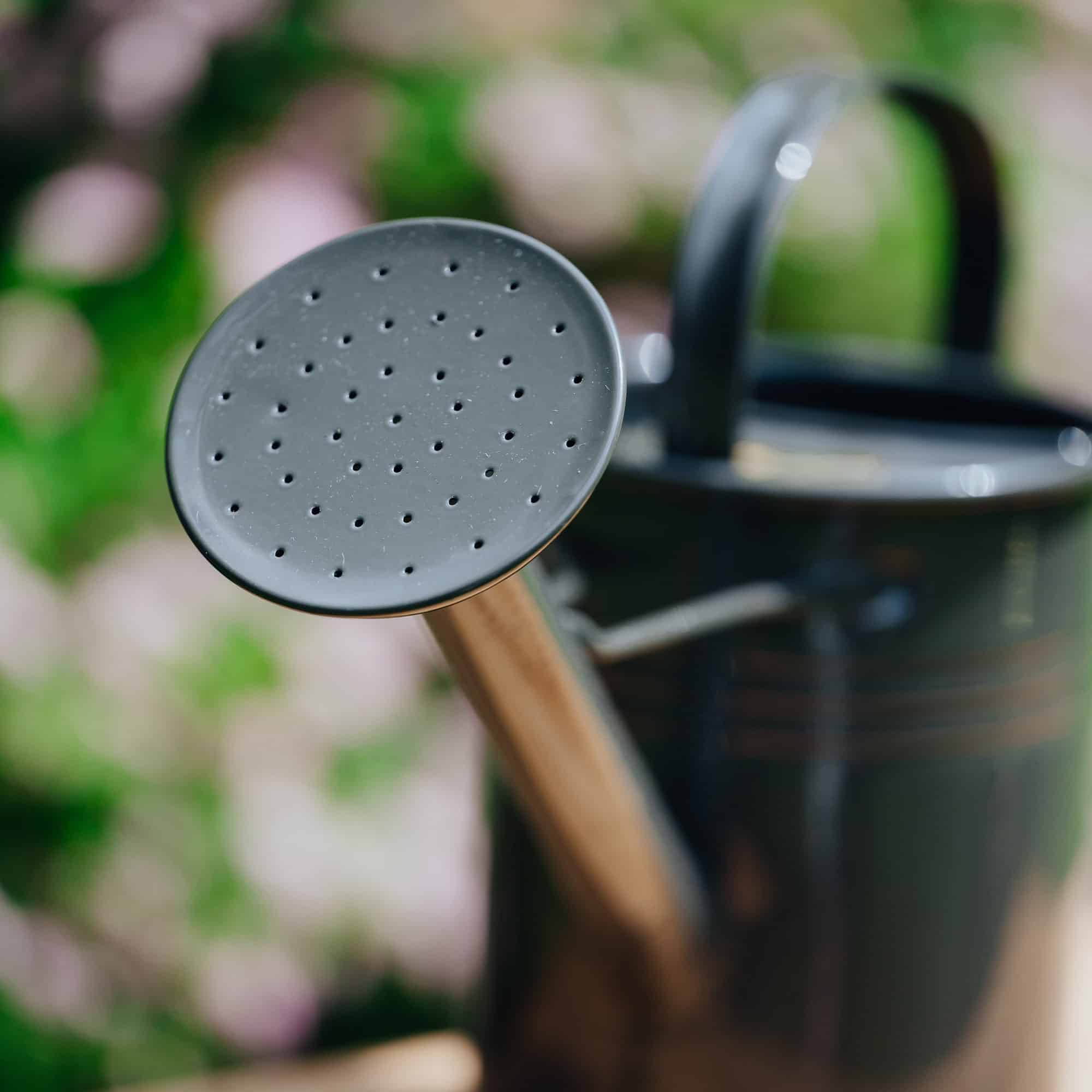 Gießkanne 1,5l Grau