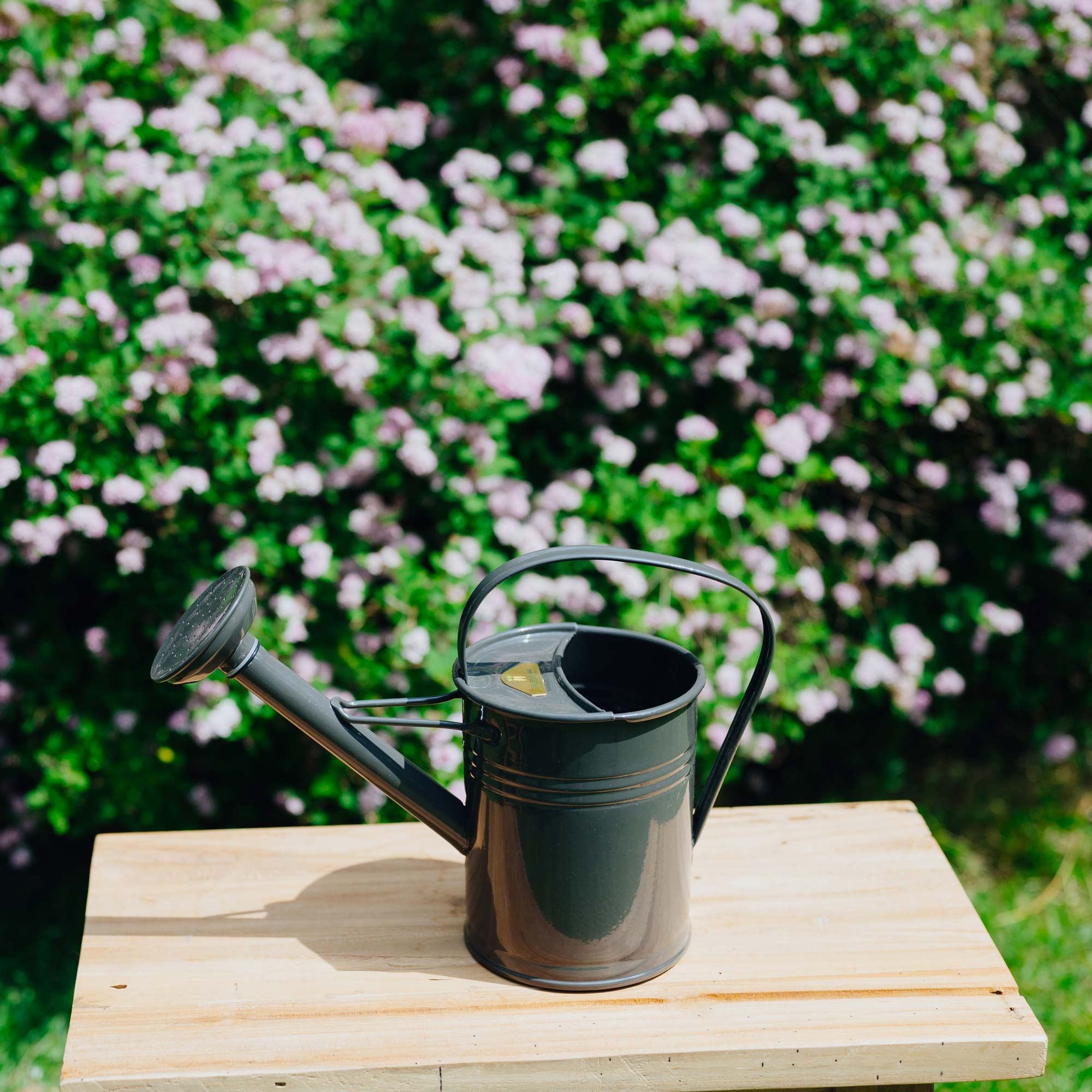 Gießkanne 1,5l Grau