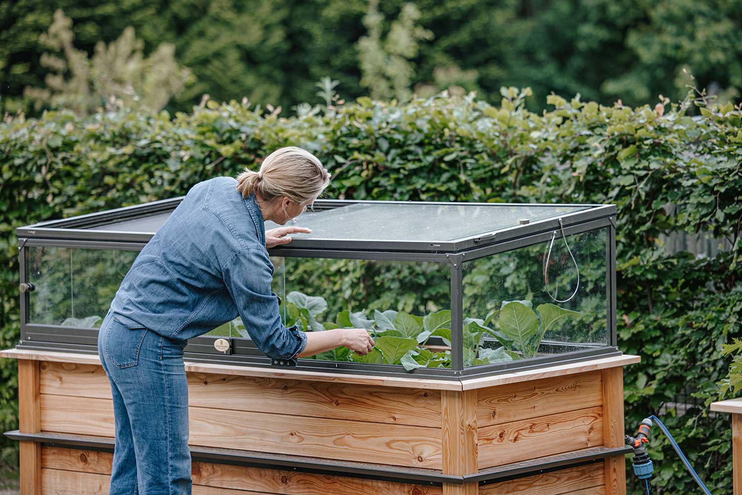 Hochbeet Charlie Homefarming meets Hoklartherm