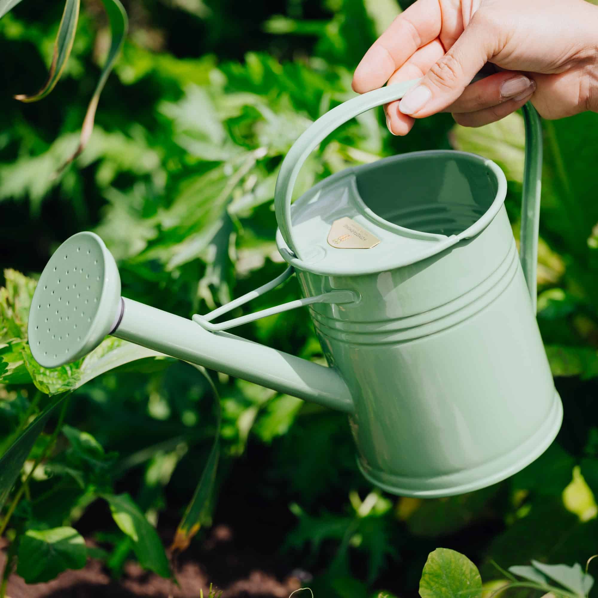 Gießkanne grün 1,5l