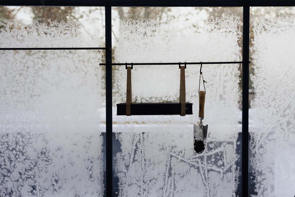 Eisheilige Gemüseanbau