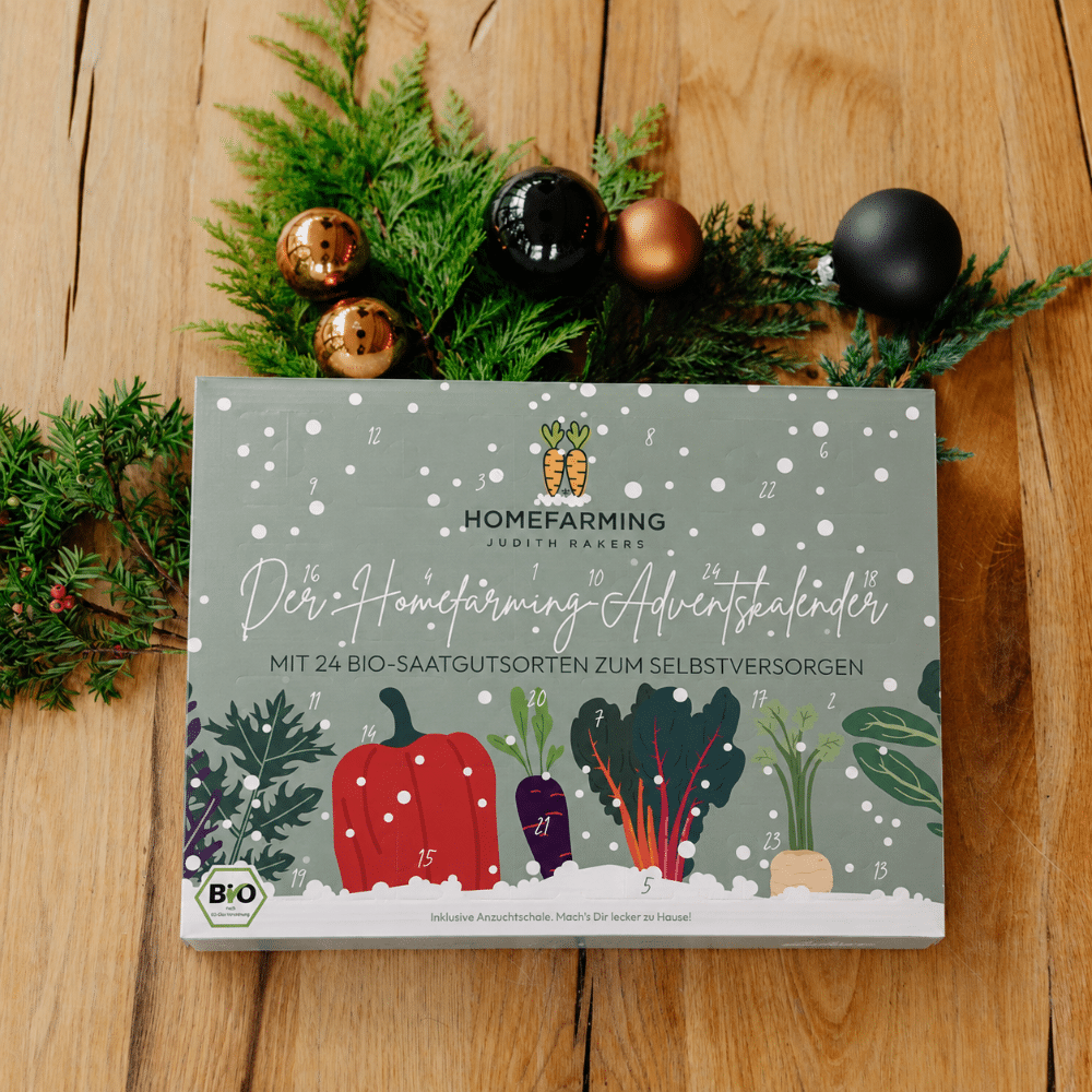 Anzuchtadventskalender-2026